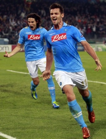 球迷们建立 球迷们建立