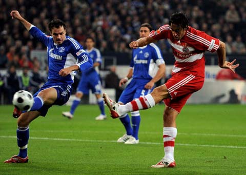 这种坚韧不 这种坚韧不